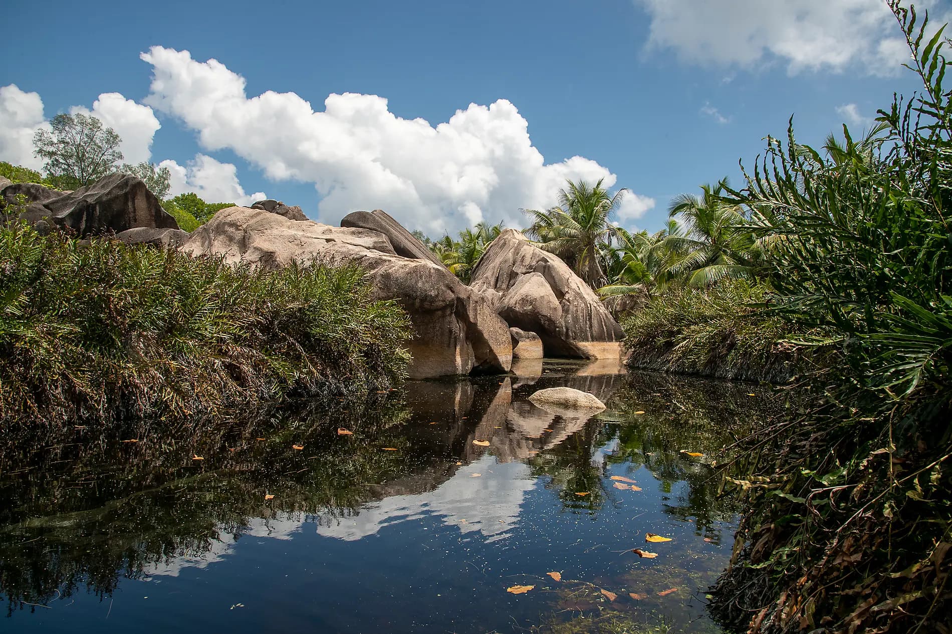 Madagaskar und Seychellen: Naturschätze des Indischen Ozeans – mit Smithsonian Journeys 
