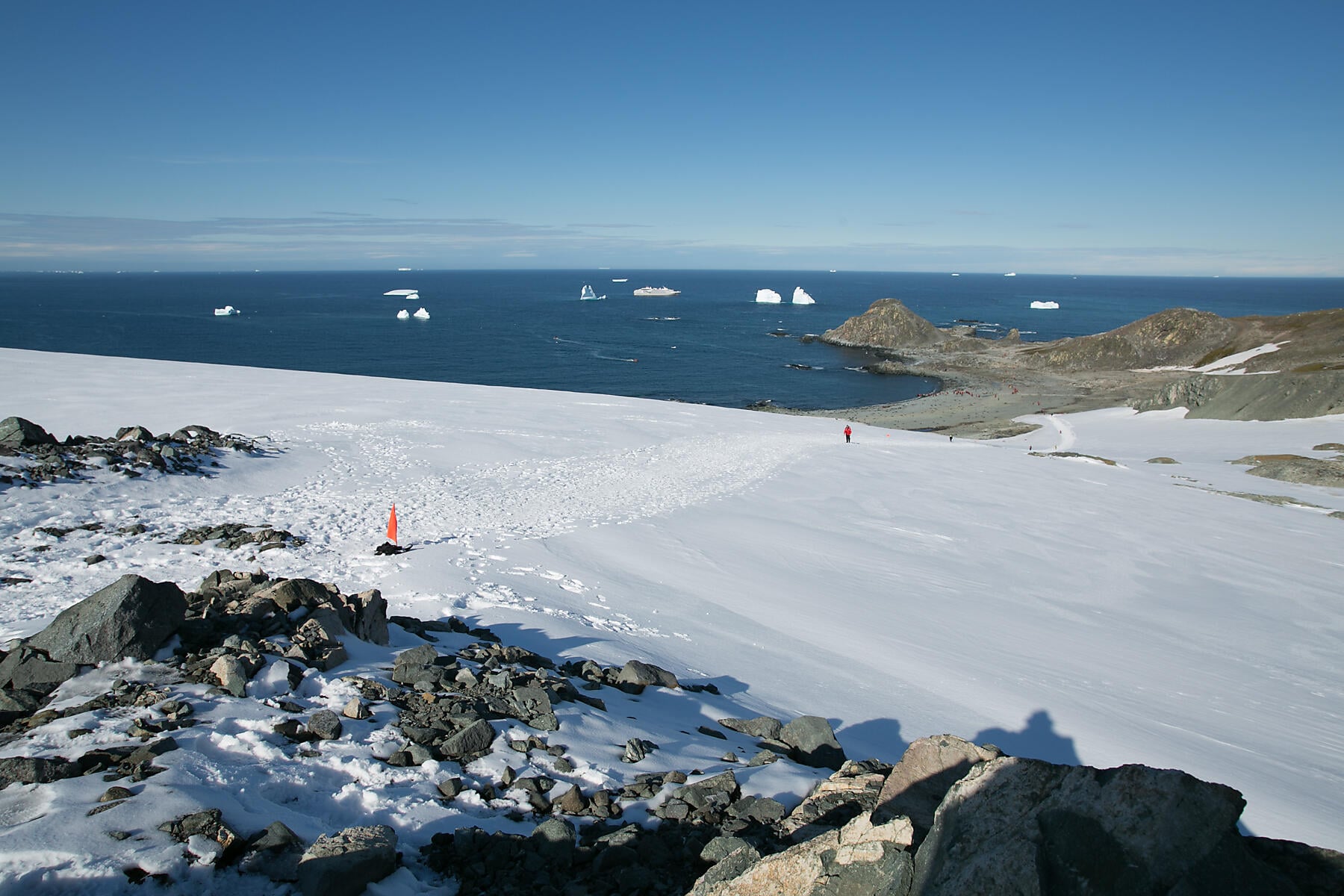 6019-  Robert Point - Shetland du Sud.jpg