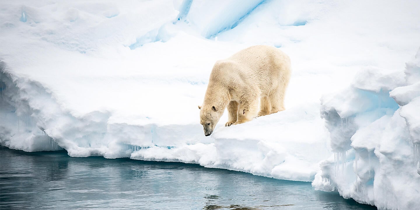  Im arktischen Eis von Grönland nach Spitzbergen