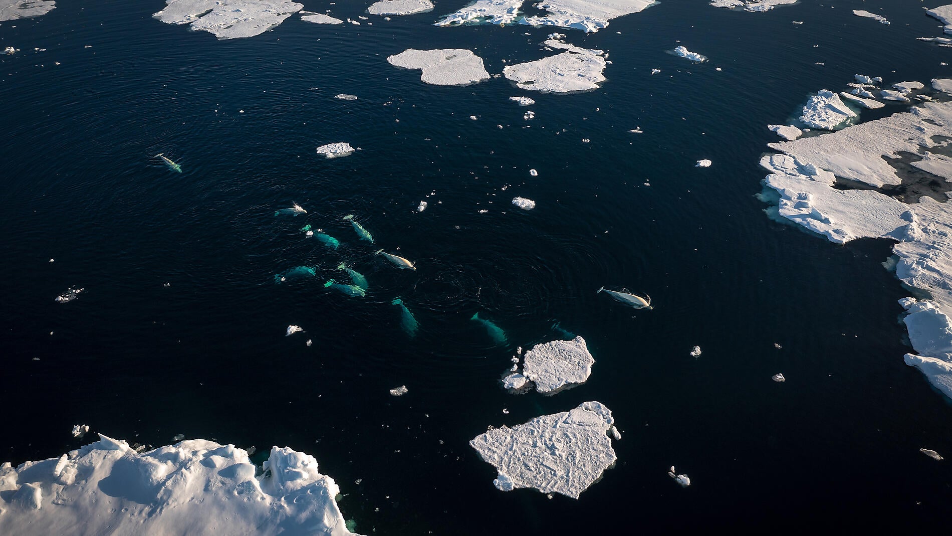 Grönland jenseits des Bekannten