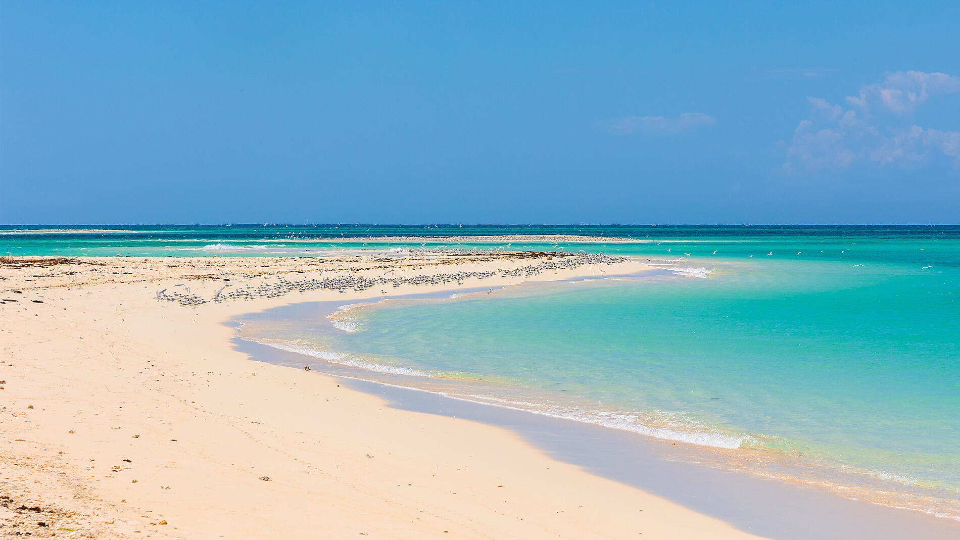 Juwelen Madagaskars Juwelen Madagaskars