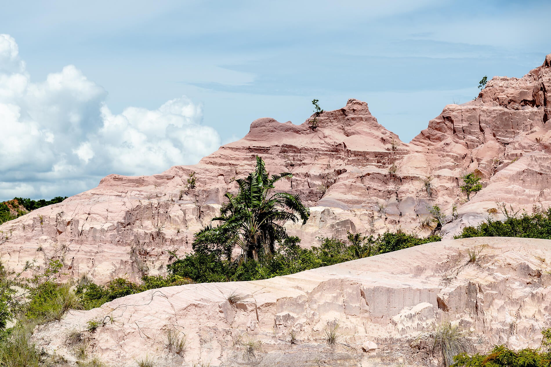 Madagaskar und Südafrika