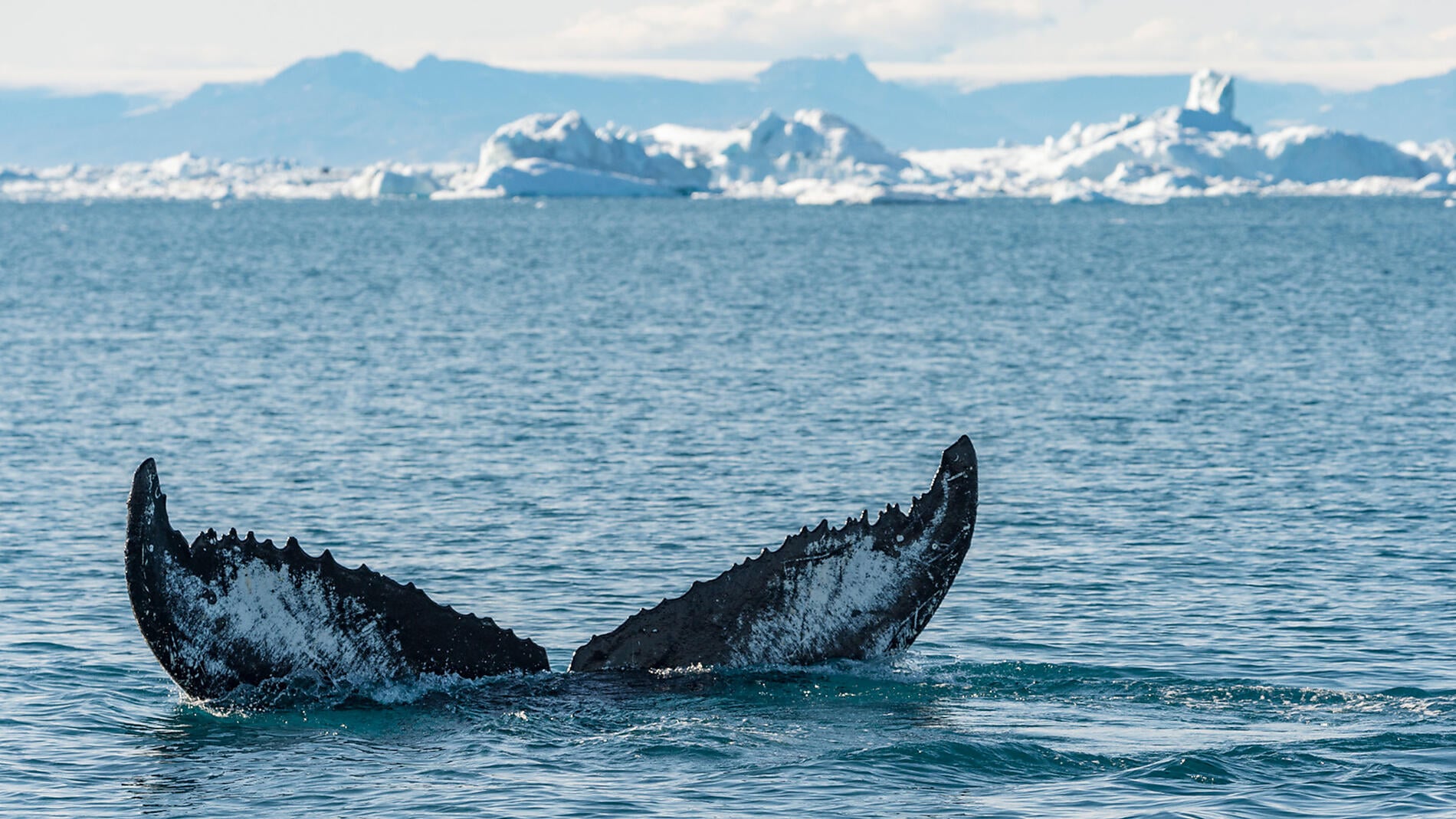 Im Herzen der Nordwest-Passage