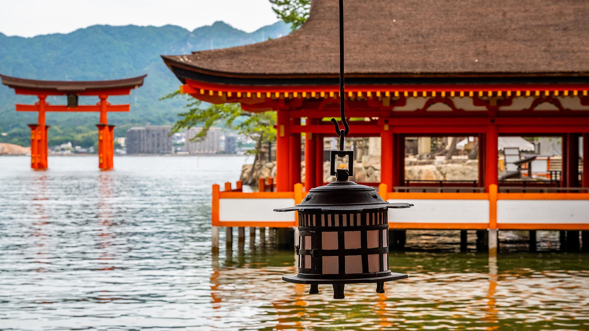 Im Herzen des ursprünglichen Japans