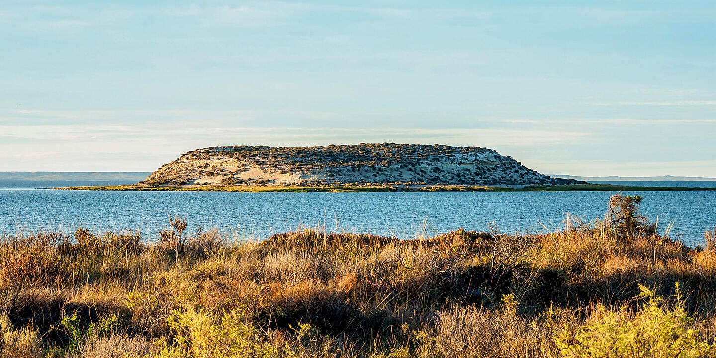 Falkland, Südgeorgien & Halbinsel Valdés: Im Herzen der Wildnis 