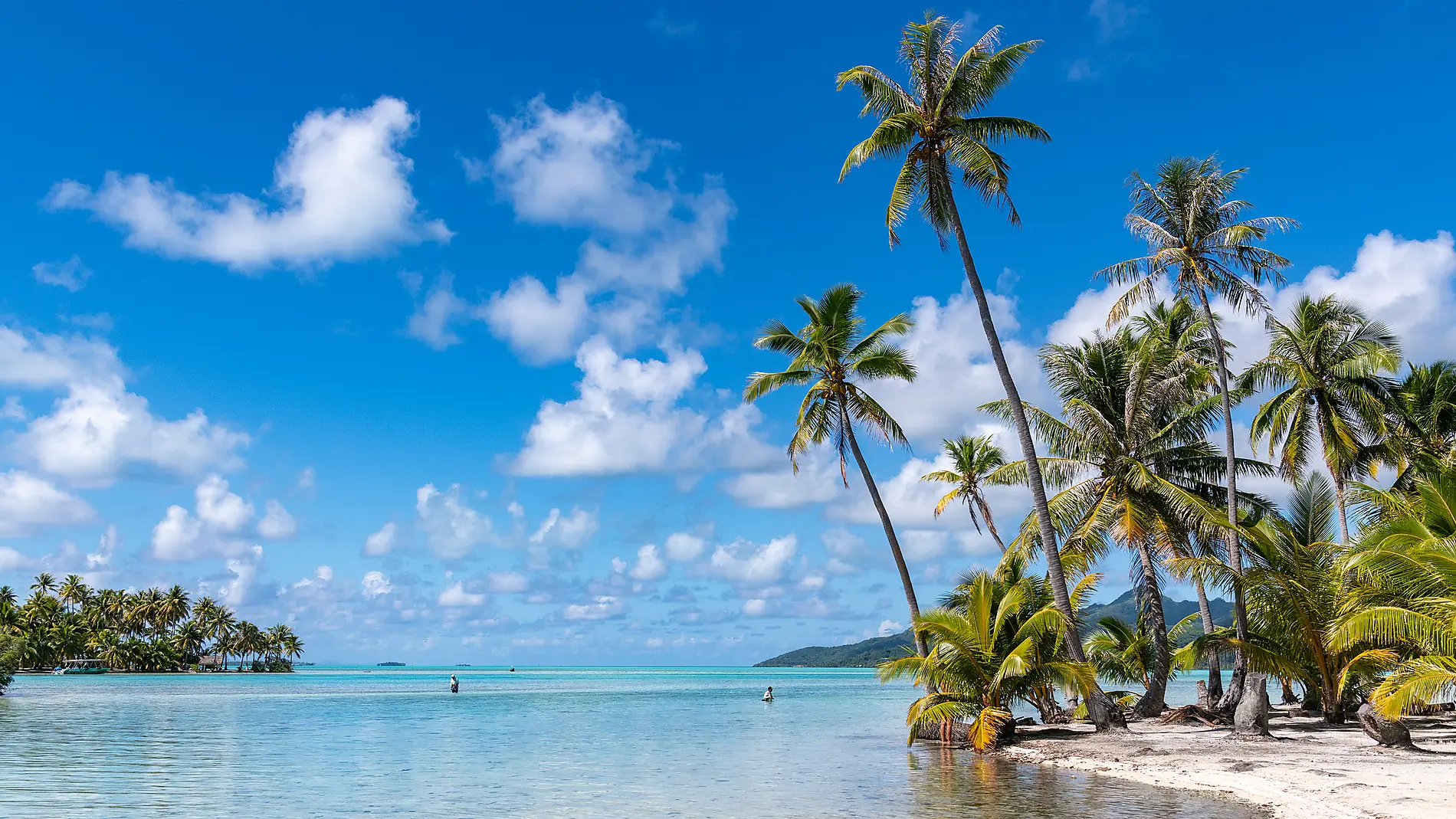 Marquesas, Tuamotu und Gesellschaftsinseln