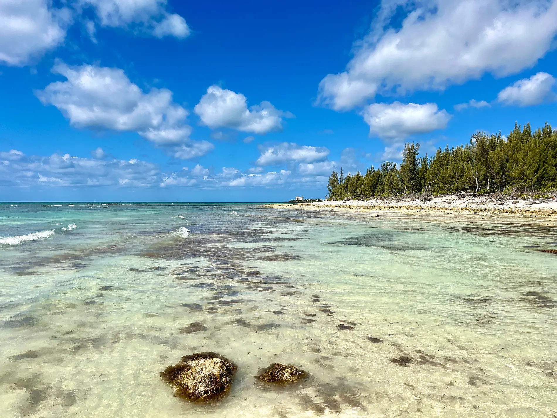 iStock-1606088875.jpg