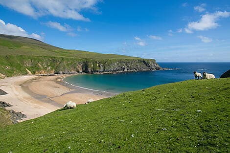 5. Jun 27 - Killybegs