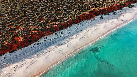 11. Aug 27 - Shark Bay (UNESCO-Welterbestätte)