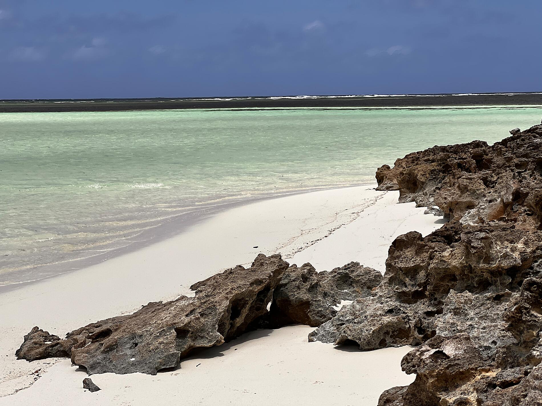 IMG_8800_Cmdt Fabien Roche.JPG