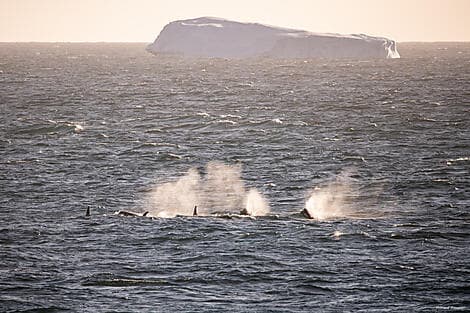 25. Jan 26 - Amundsensee