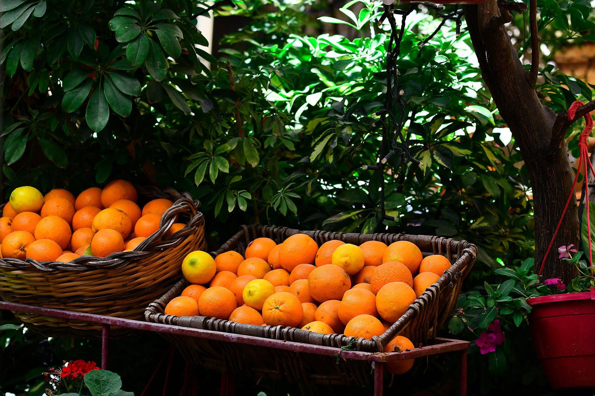 Antike Küsten des Mittelmeers