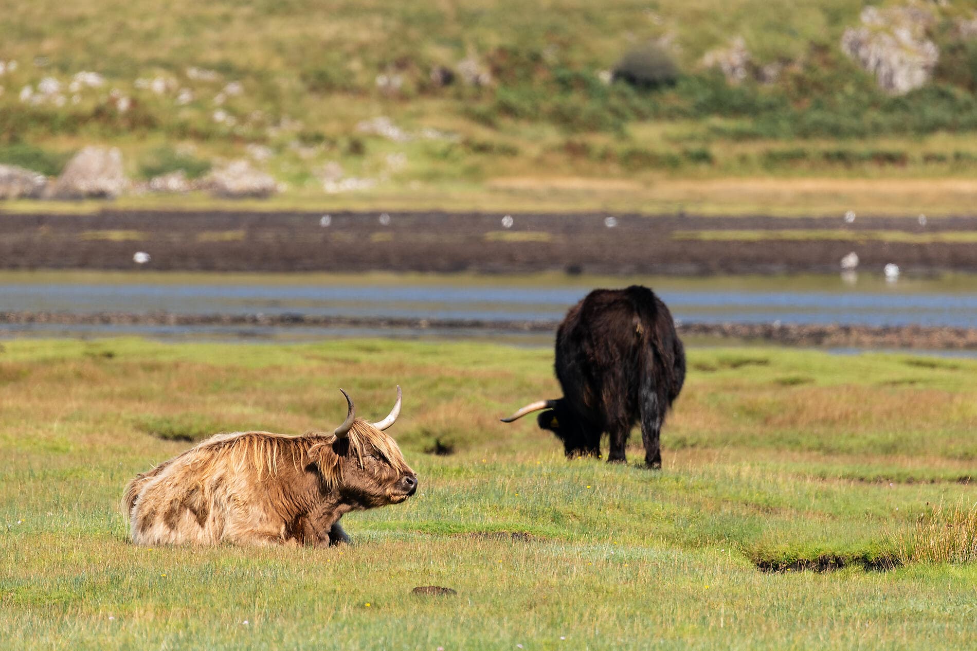 Geheimnisse und Landschaften der Kelten