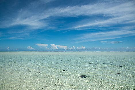 4. Feb 27 - Saint-François-Atolls