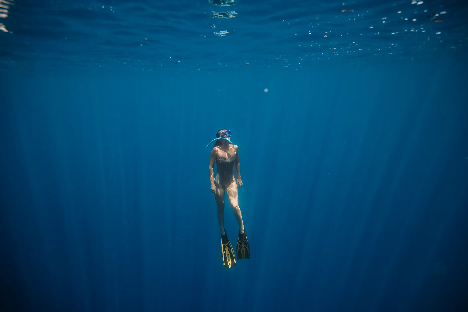 Madagaskar und die Seychellen: Naturschätze des Indischen Ozeans – mit Smithsonian Journeys