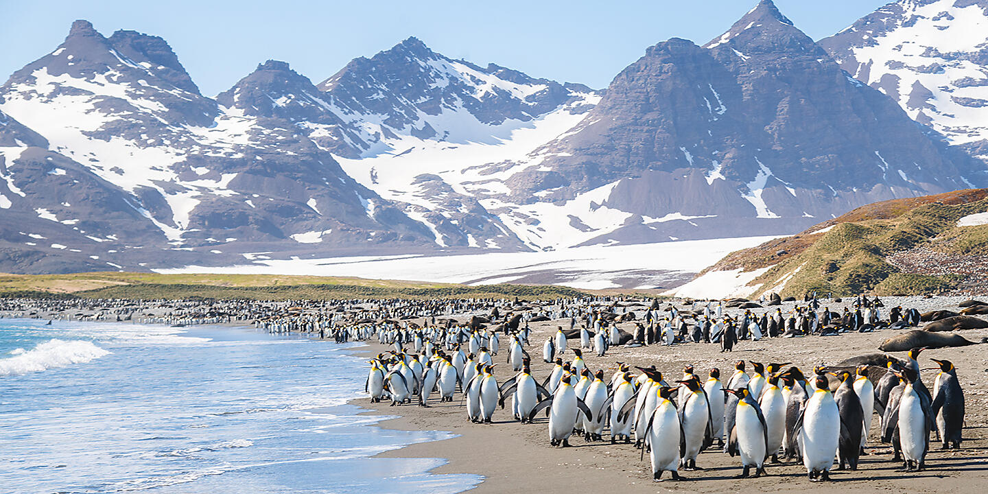 Antarktis, Falklandinseln & Südgeorgien  Antarktis, Falklandinseln & Südgeorgien