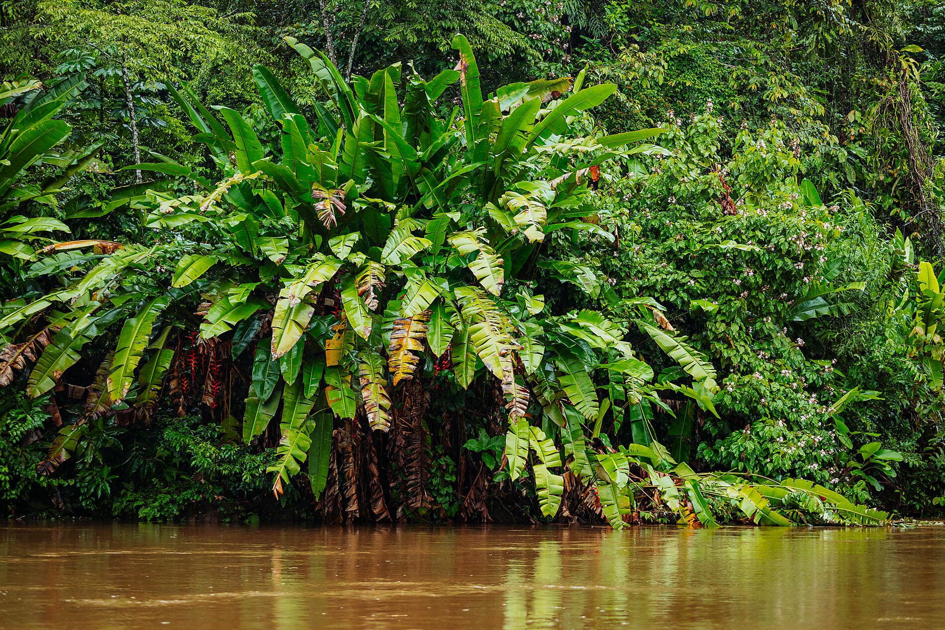 Die Pazifikküste von Costa Rica