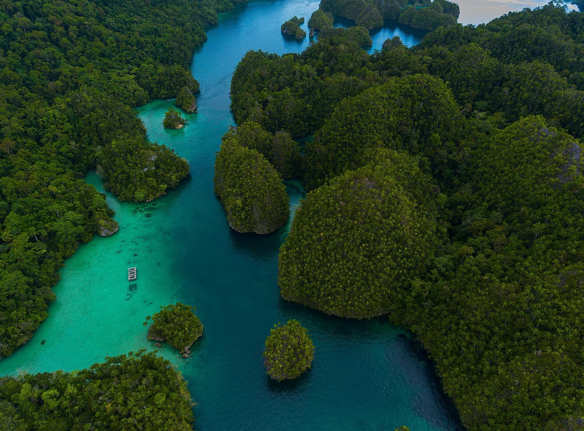 Abenteuer in den Tropen zwischen Indonesien und Nordost-Australien