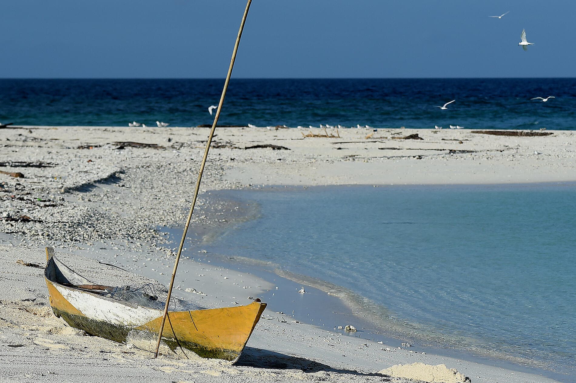 Abenteuer in den Tropen zwischen Indonesien und Nordost-Australien