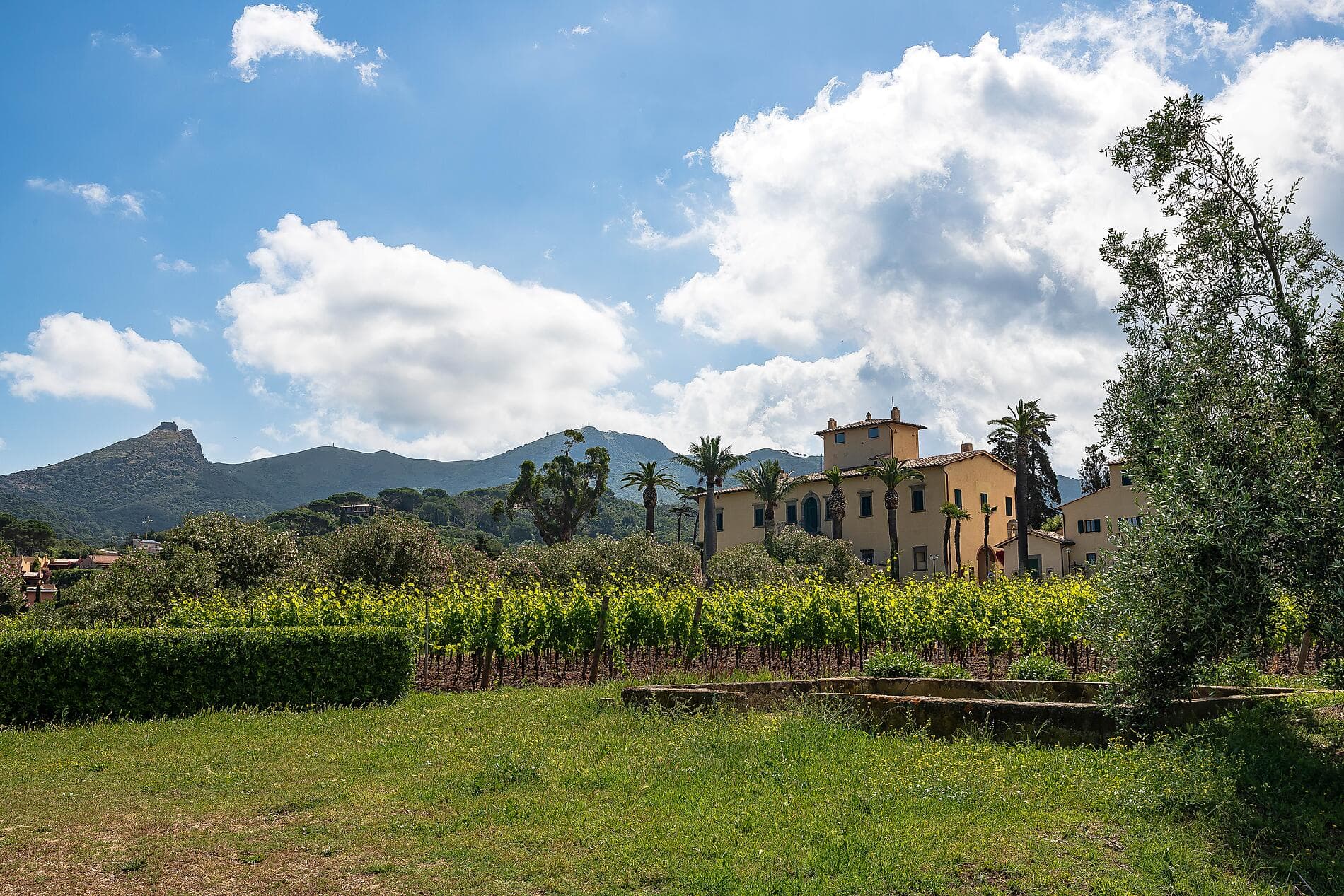 Von der Stadt der Engel zu den Ufern der Adria