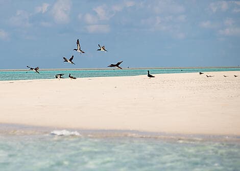 5. Jun 26 - Ashmore Reef (technischer Stopp)