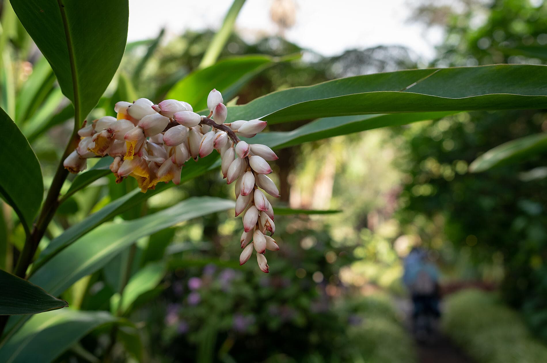Odyssee im Atlantik von den Kanarischen Inseln bis zur marokkanischen Küste