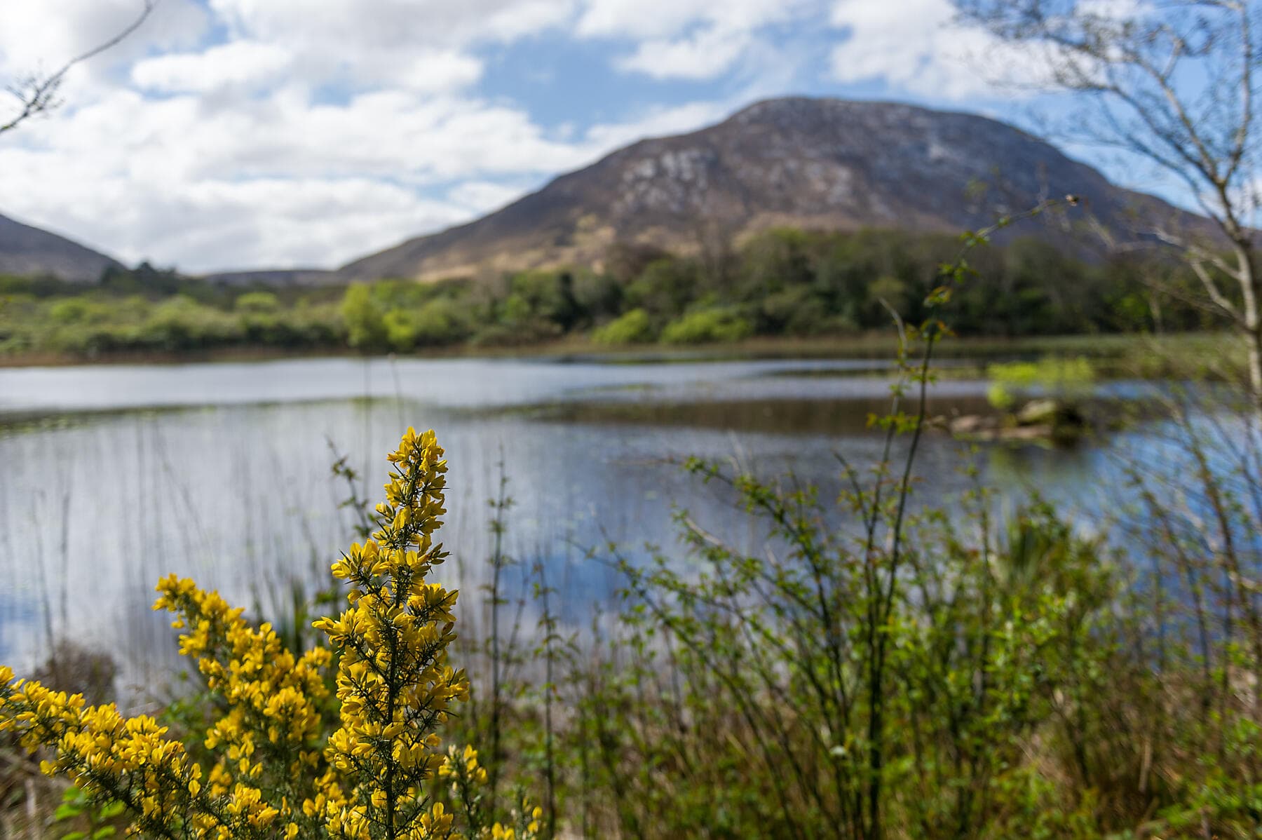 Komplette Umrundung Irlands