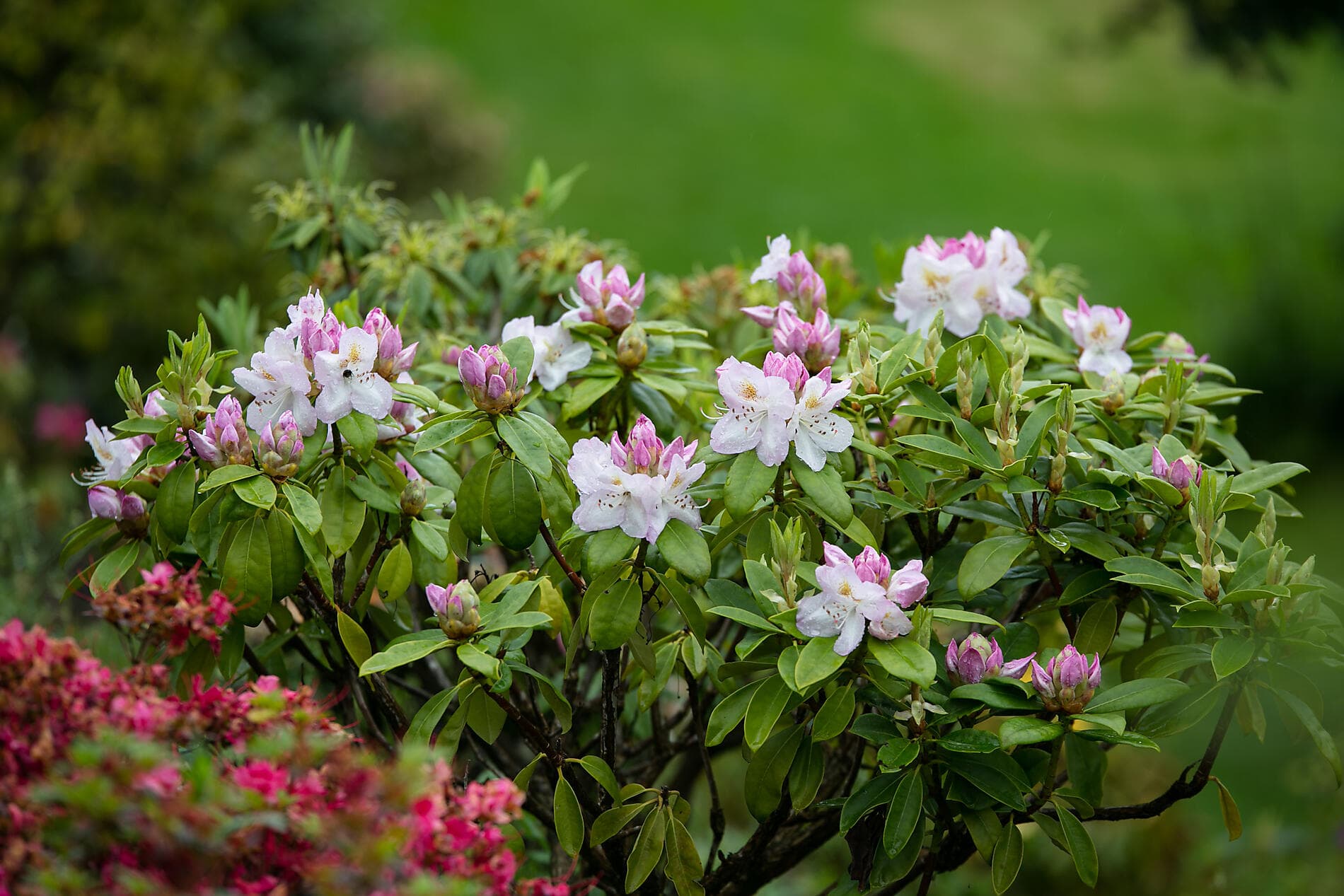 Komplette Umrundung Irlands