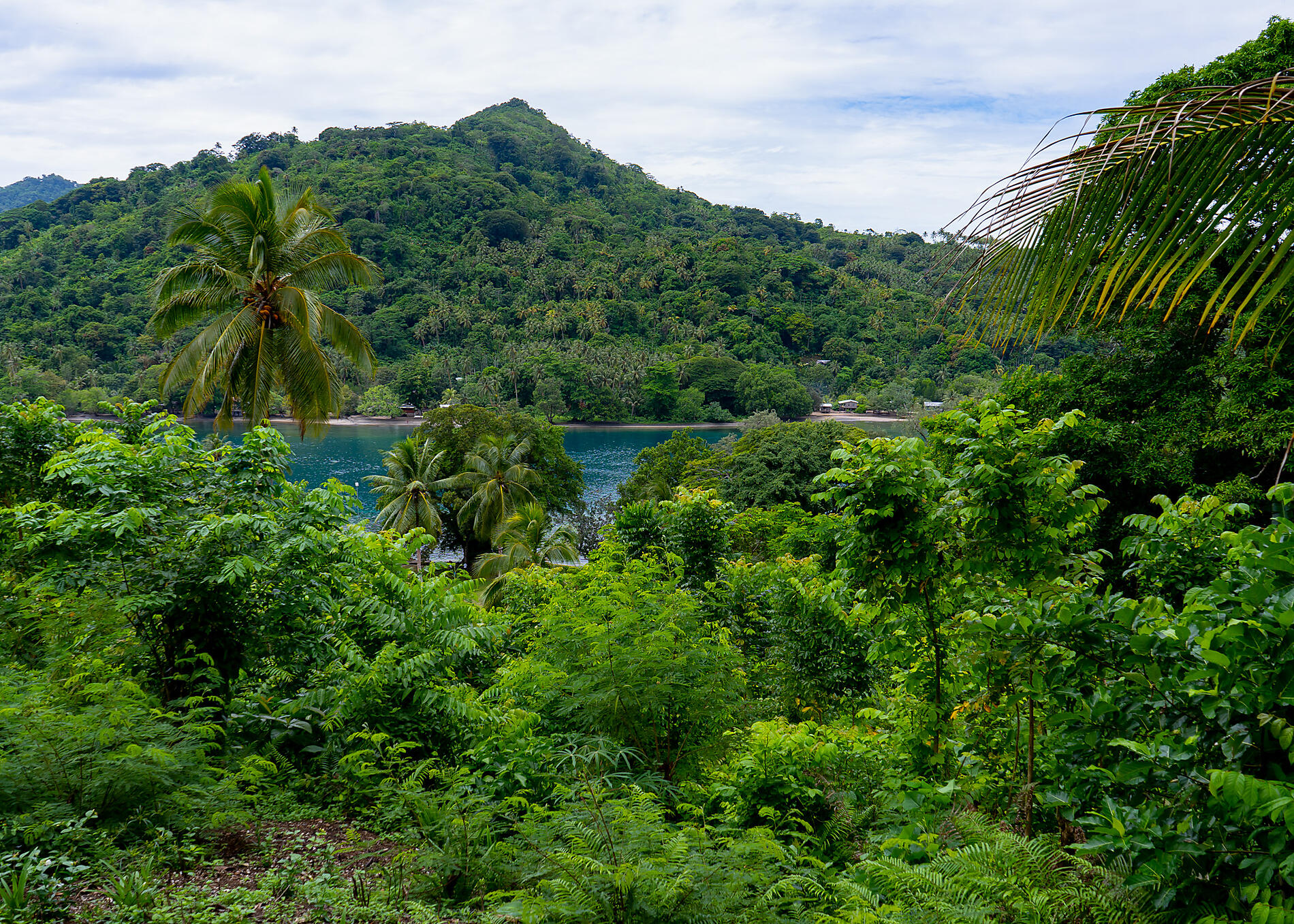 N°-1309_ER070324_Samarai©StudioPONANT-Laure Patricot.jpg