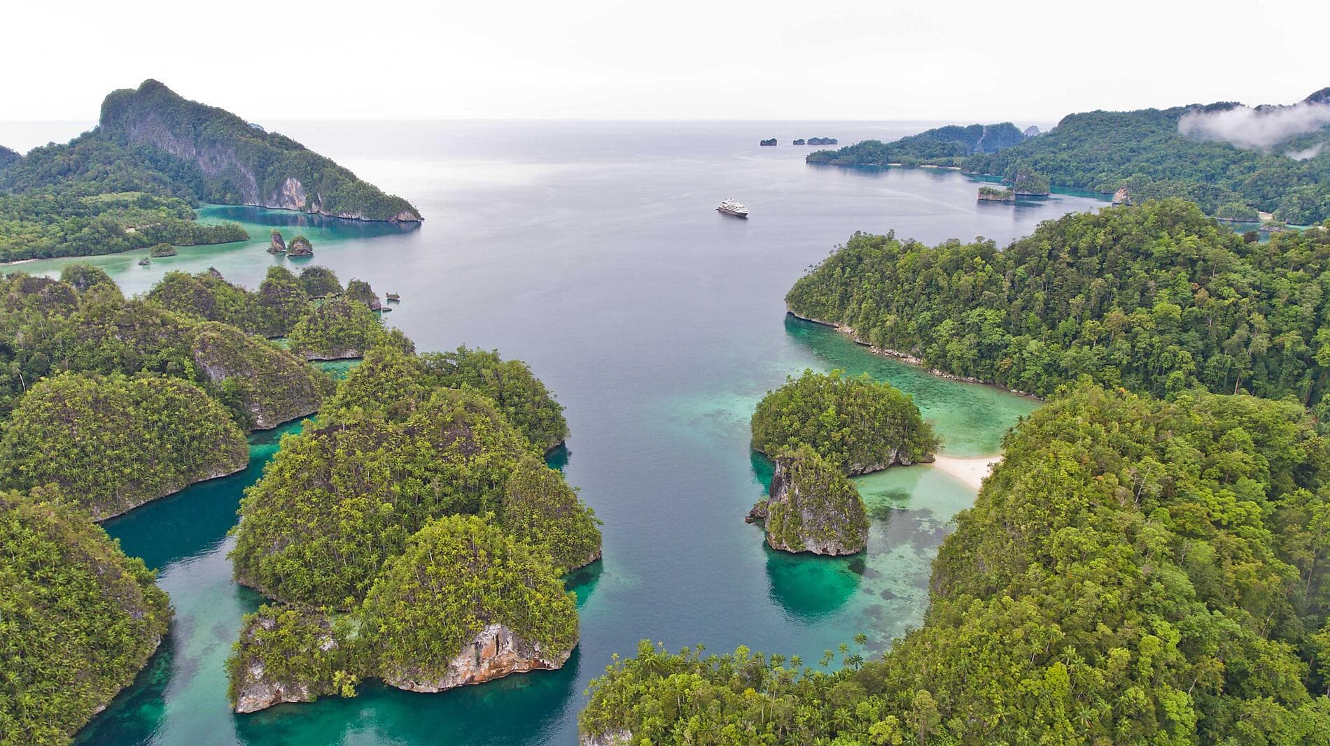 Abenteuer in Neuguinea