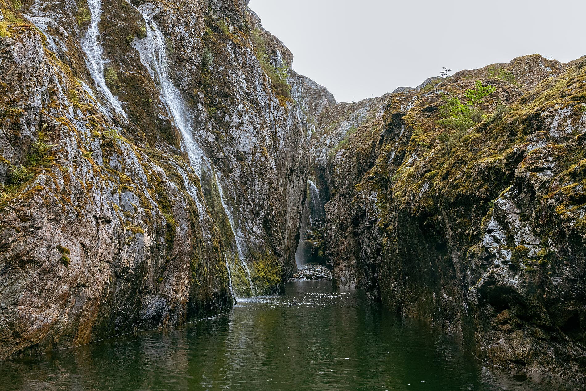 Highlights der chilenischen Fjorde