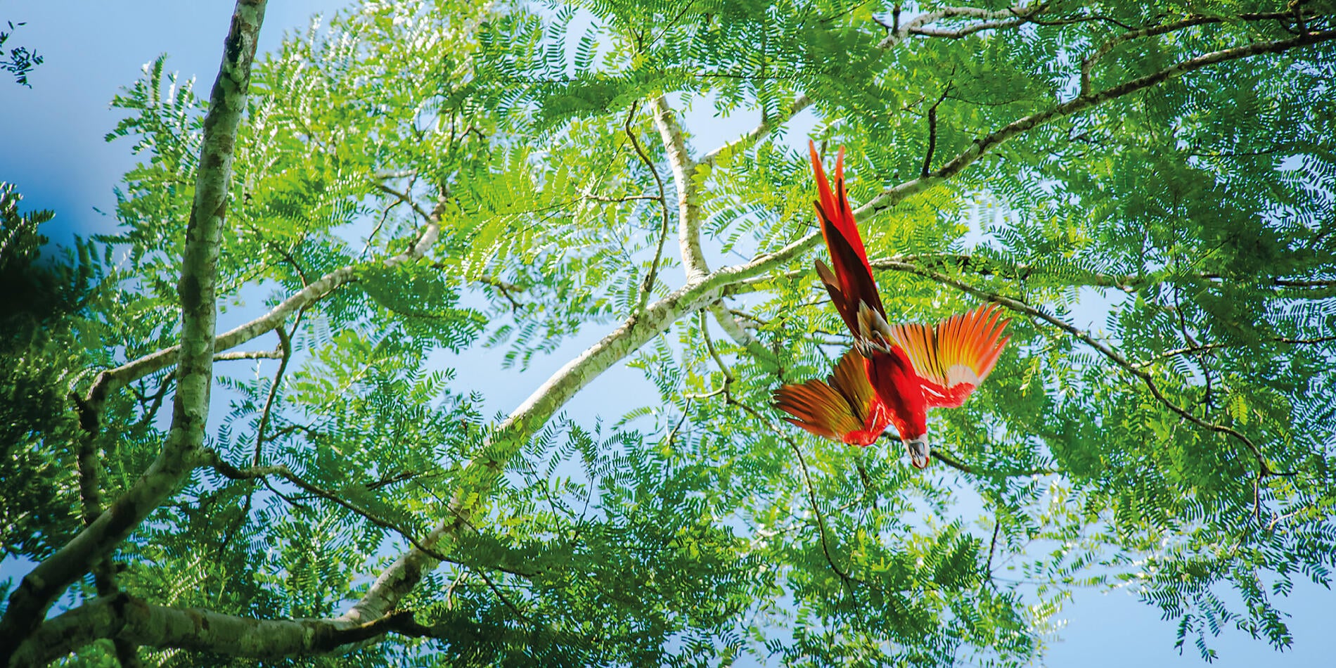 Panamakanal und die Juwelen Mittelamerikas Panamakanal und die Juwelen Mittelamerikas