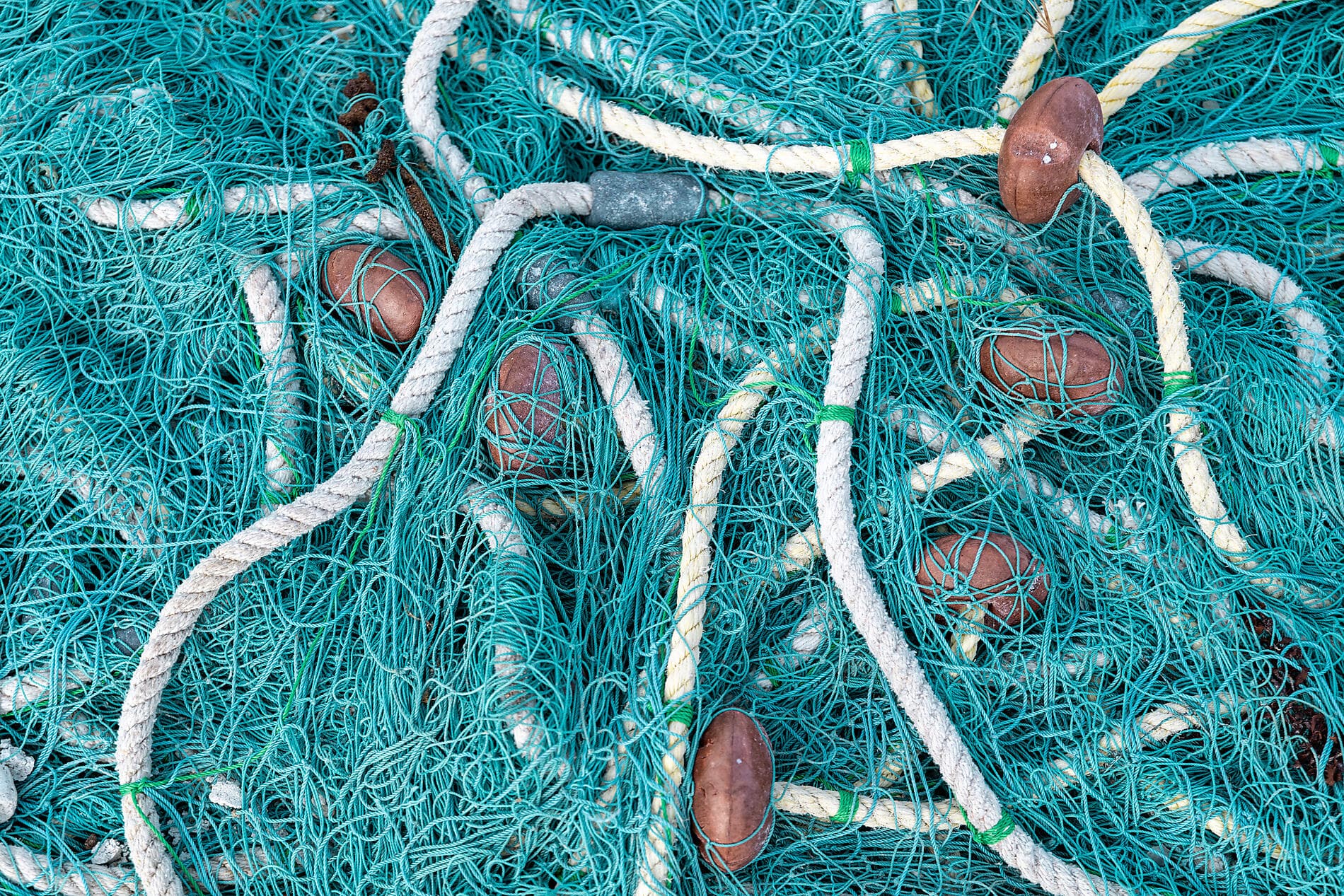 Die Inseln unter dem Winde – Karibik pur