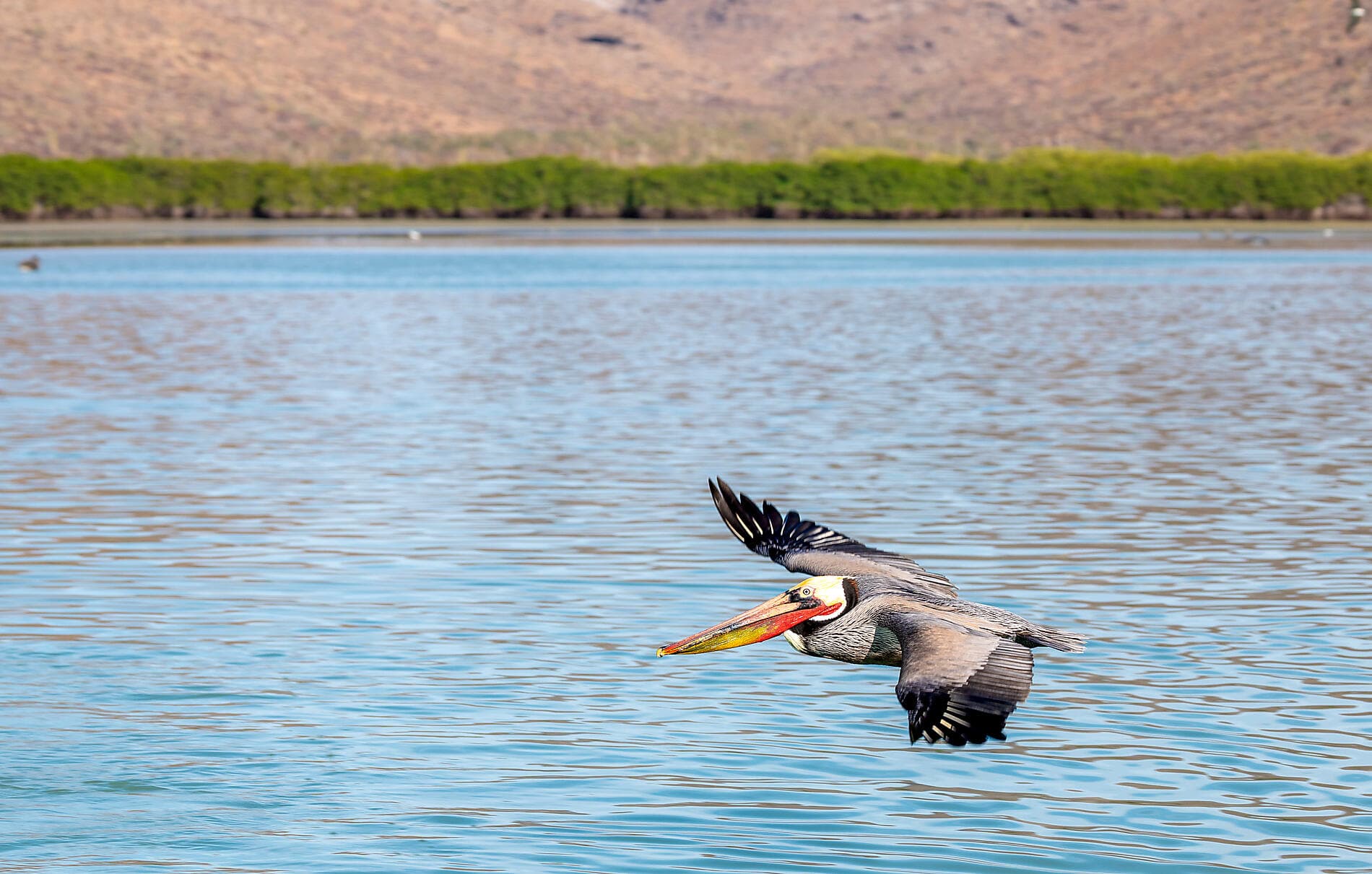 Erkundung im Herzen der Baja California