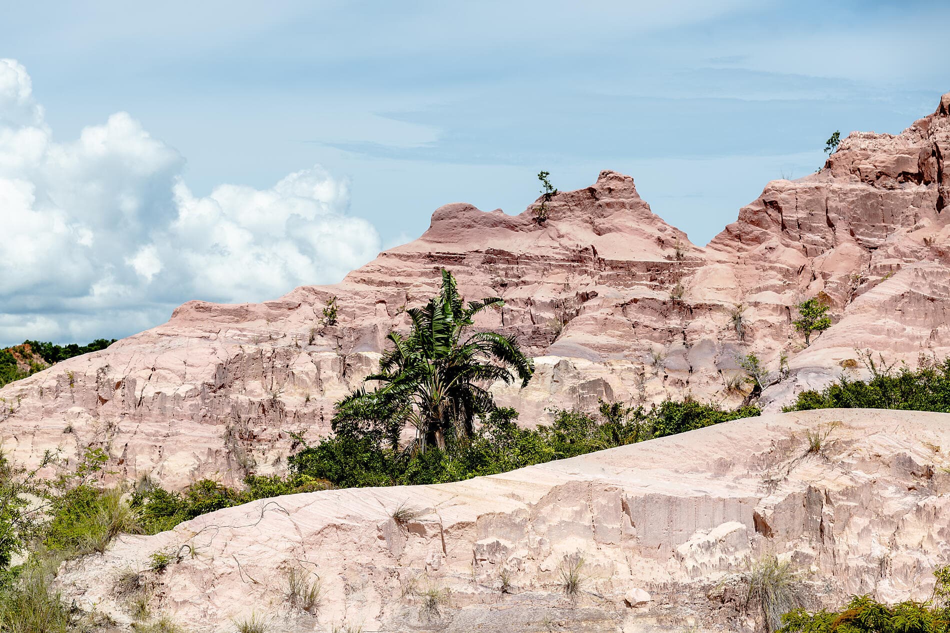 Madagaskar und Südafrika