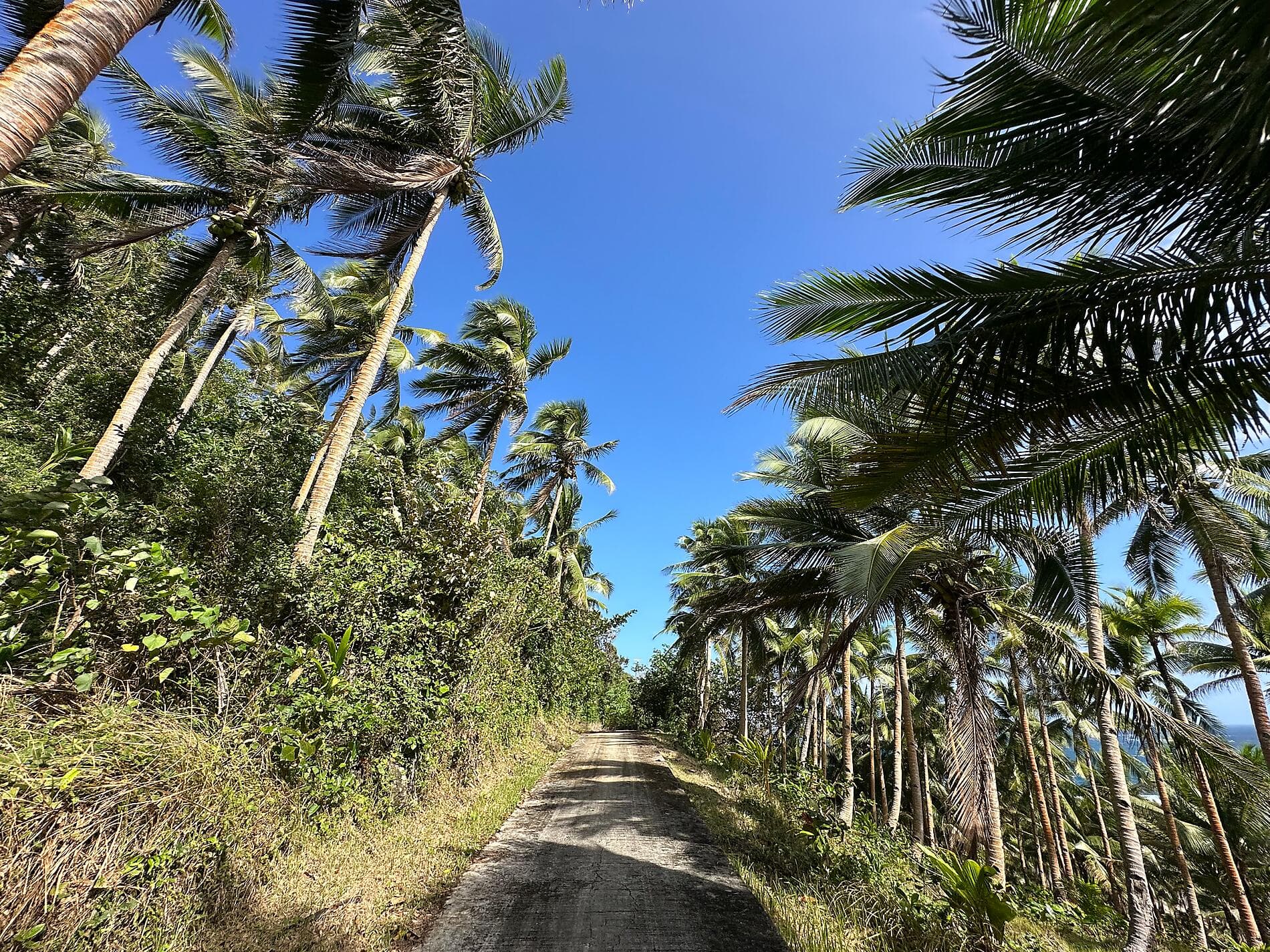 Abenteuer Philippinen, zwischen unberührten Inseln und wilden Küsten