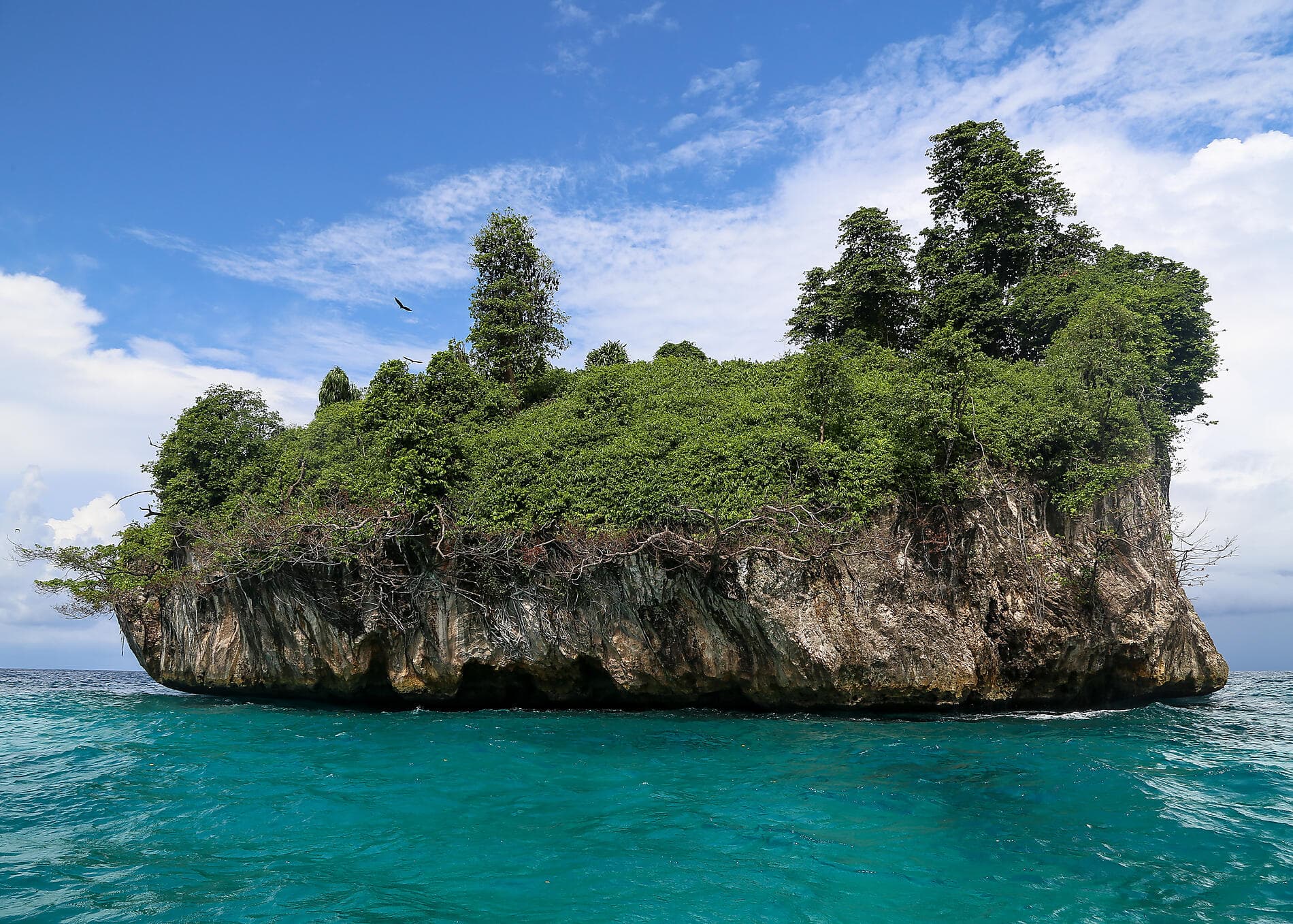 Reise nach Indonesien: Drachen, Riffe und die Gewürzinseln – mit Smithsonian Journeys