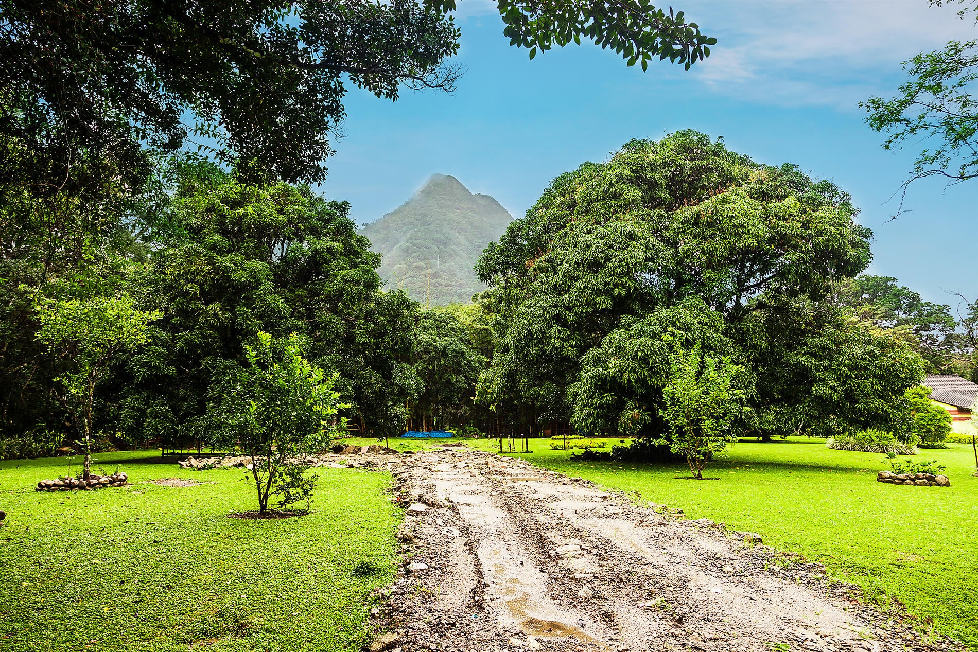 AdobeStock_127952174.jpeg