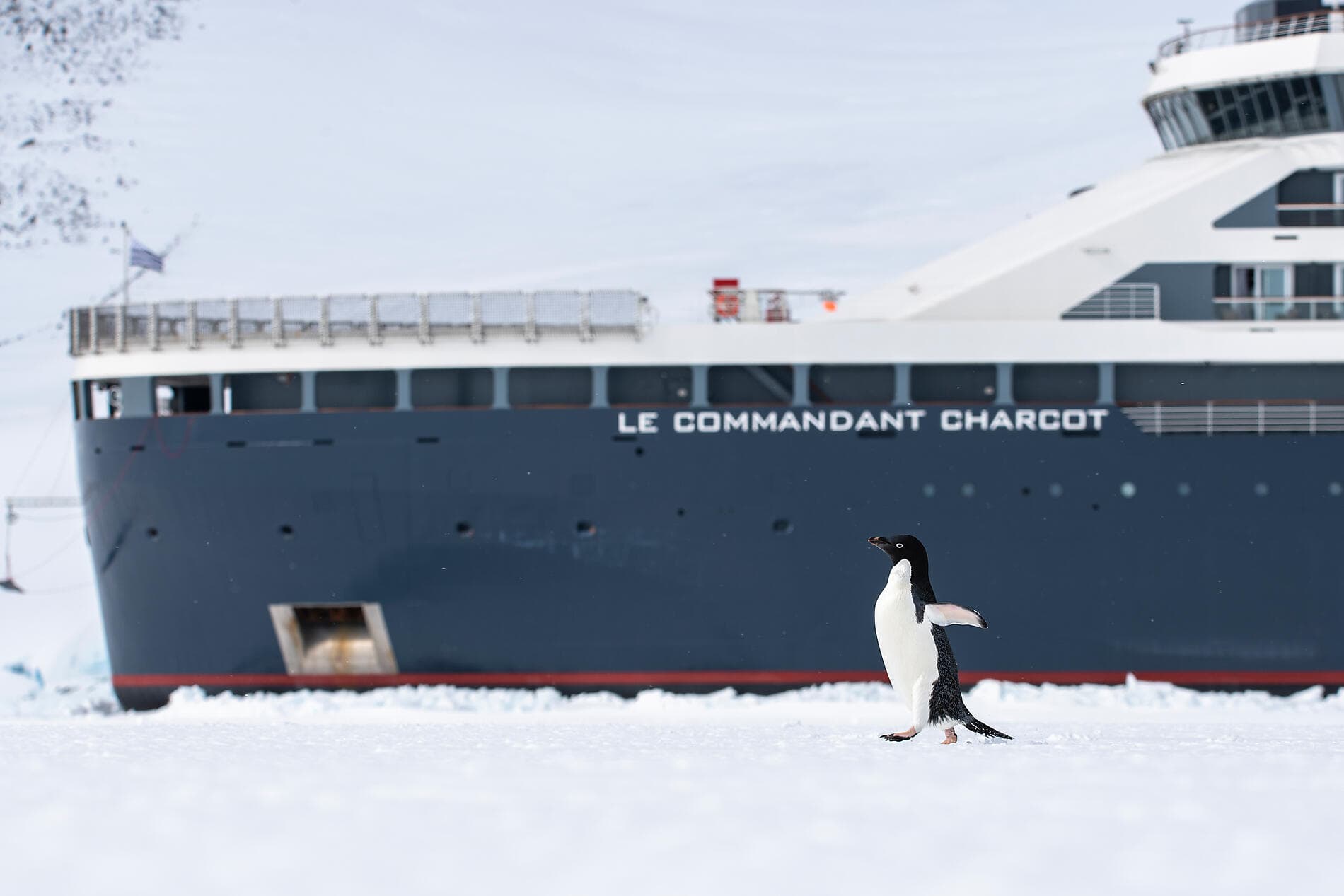 Im Kielwasser von Jean-Baptiste Charcot