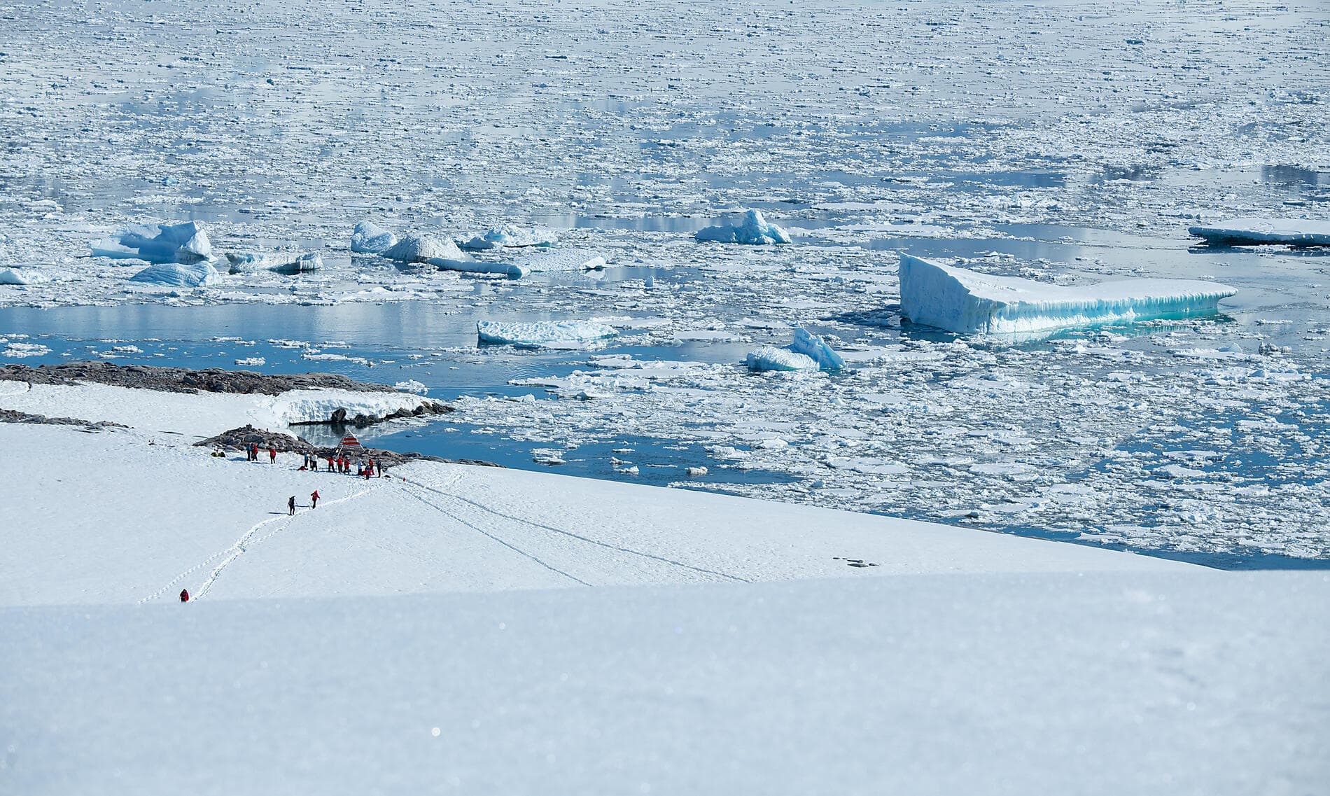 Antarktis, Falklandinseln und Südgeorgien