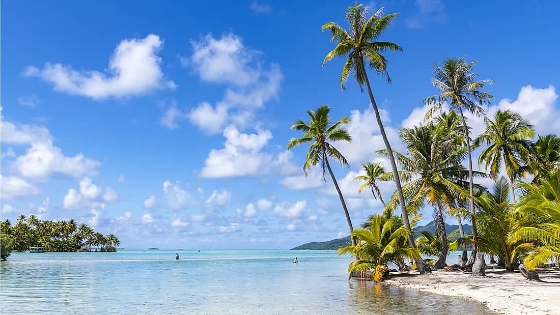 Marquesas, Tuamotu und Gesellschaftsinseln