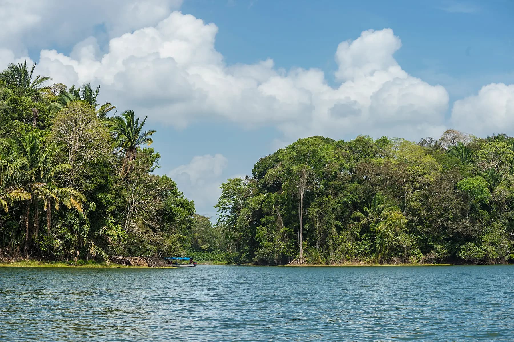 Panama und Costa Rica über das Meer: Die Naturwunder Mittelamerikas – mit Smithsonian Journeys