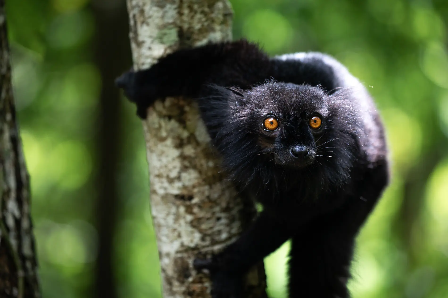 Unbekanntes Madagaskar