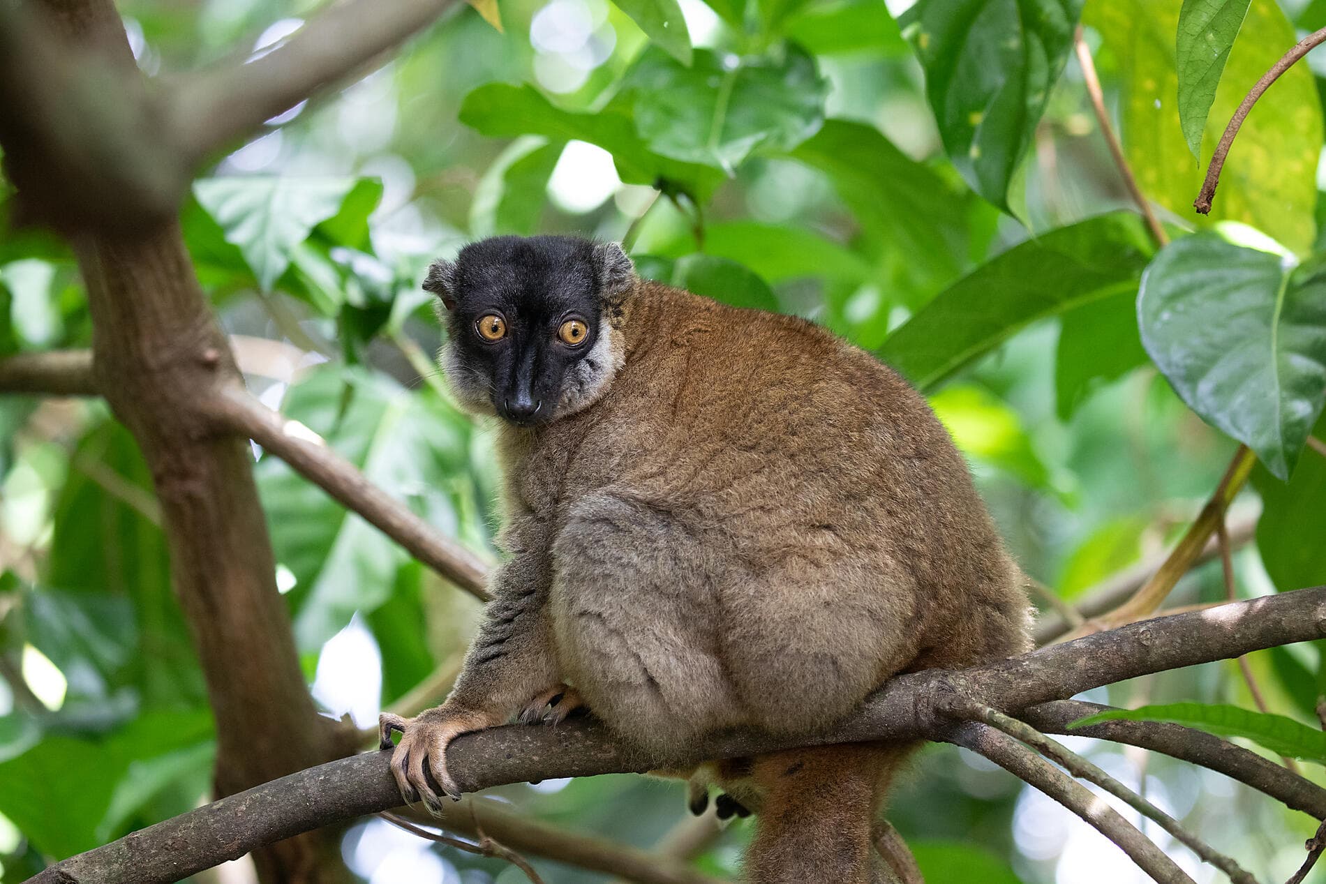 Unbekanntes Madagaskar